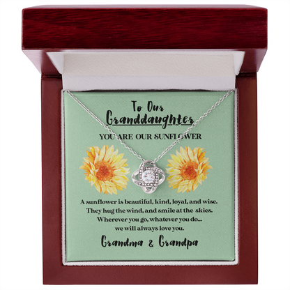 to our granddaughter from grandma grandpa